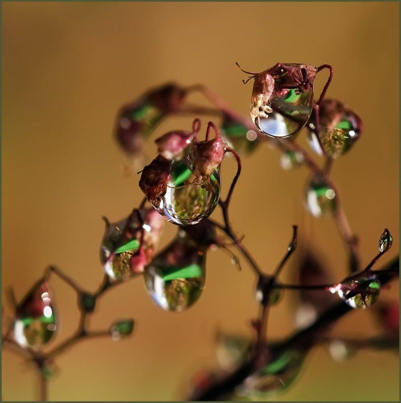 **** фото превью