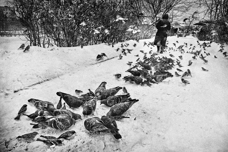 Пир. фото превью