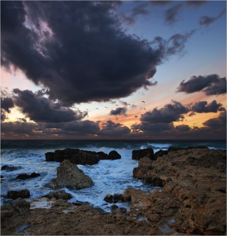 фото превью