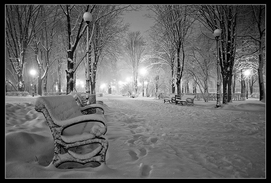 , Владимир Точаненко