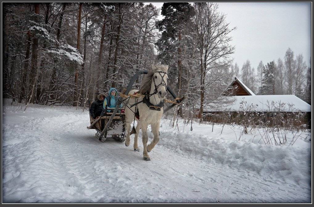 повозка, лес, дом, дорога, зима, Александр Авилов