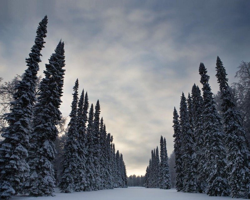 Зимнее фото превью