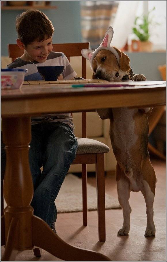 , Aleetet www.loft-photo.ru