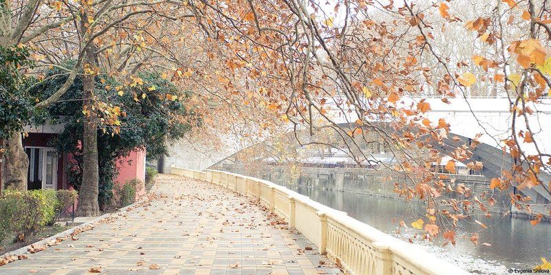 Зима в Сочи фото превью