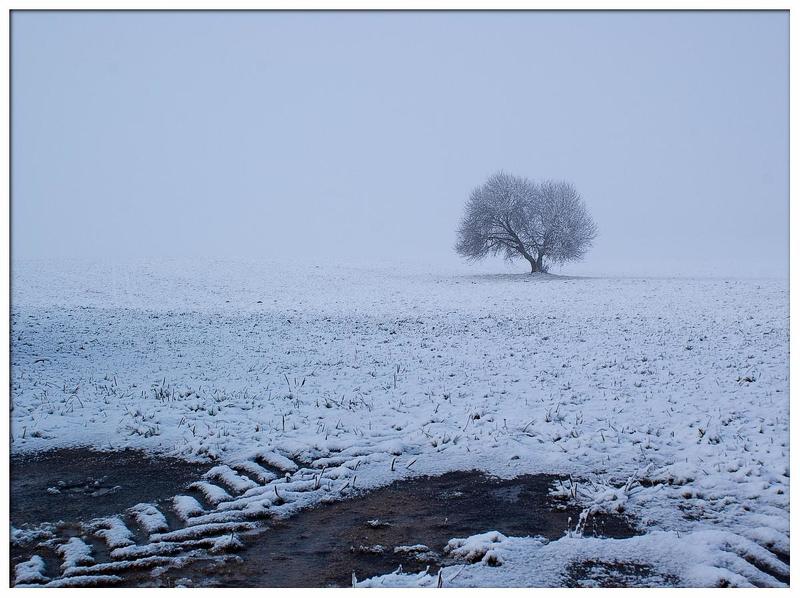 Из серий Утренняя дорога 3 смотреть во весь экран фото превью