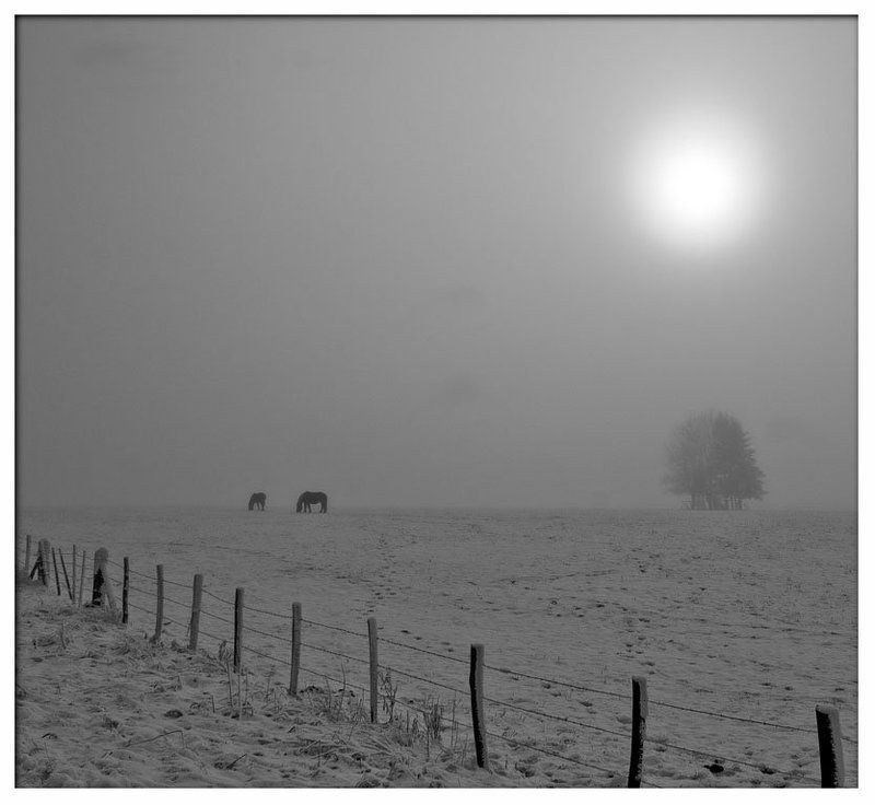 Из серий вместе навсегда 2 фото превью