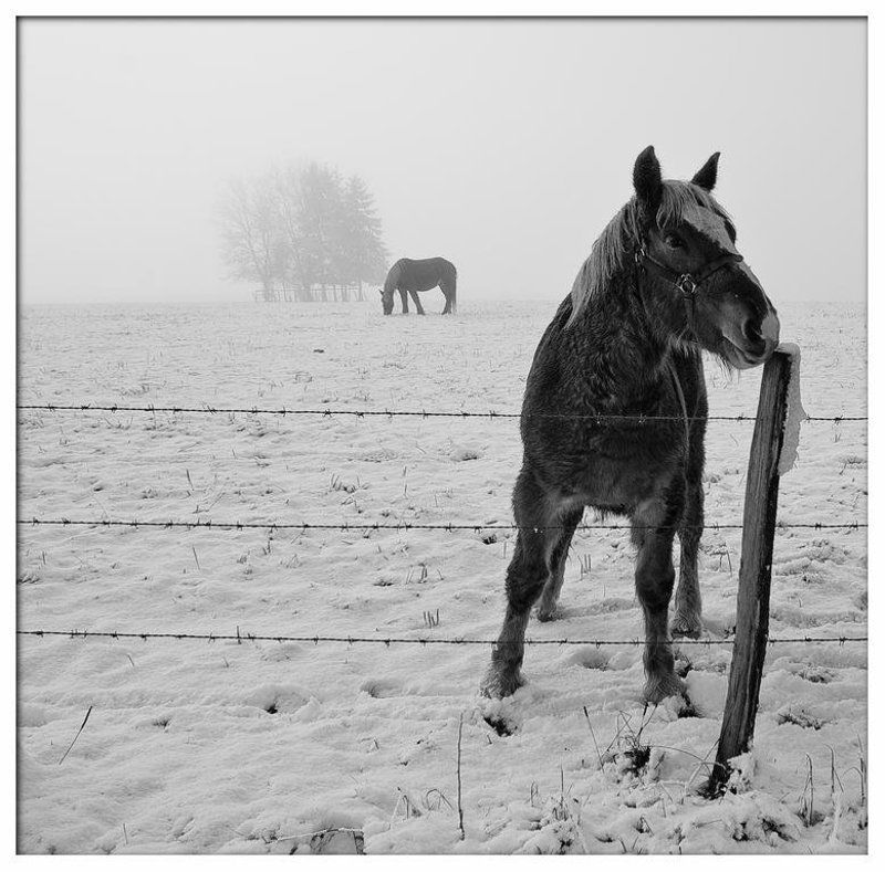 Вместе навсегда 3 фото превью