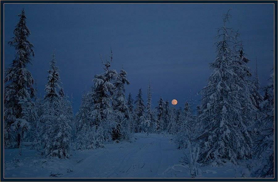 тайга,ночь,зима,мороз,лыжня, Солодухин Виктор