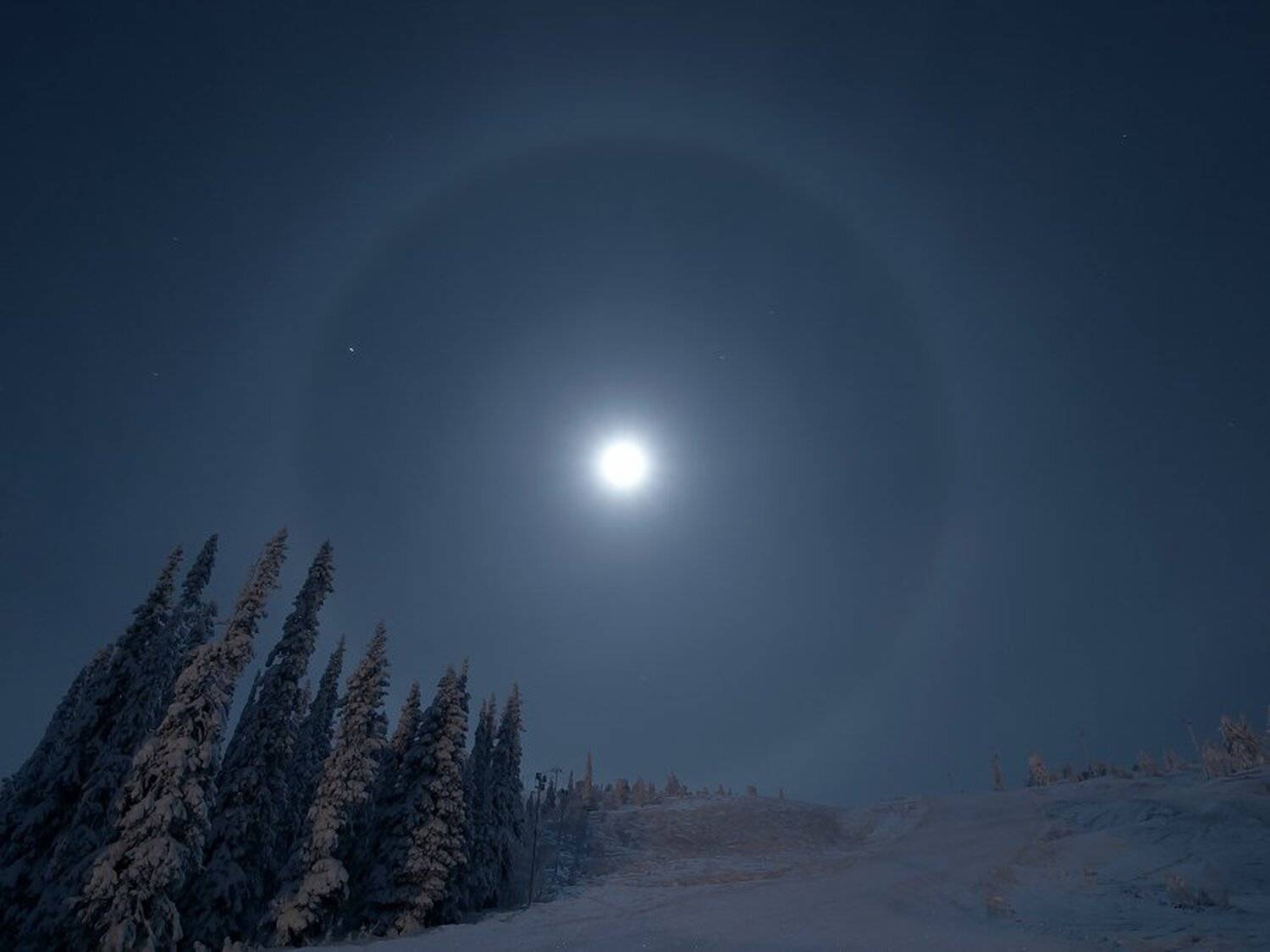 , Максим Евдокимов