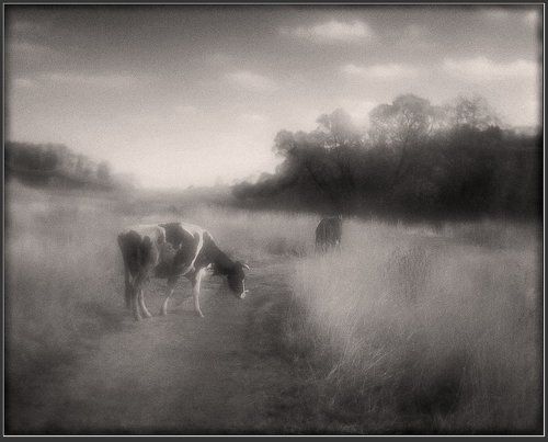 Деревенская-1