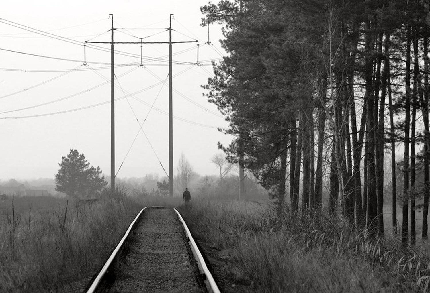 человек, дорога, лес, жанр, чб, Piligrim