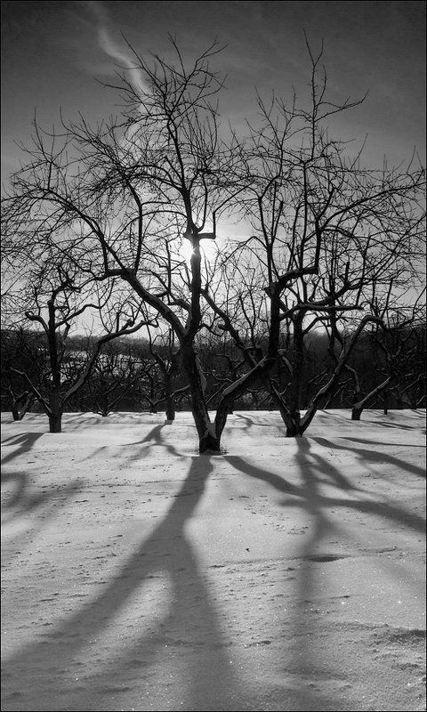 пейзаж, зима Предзакатная геометрия фото превью