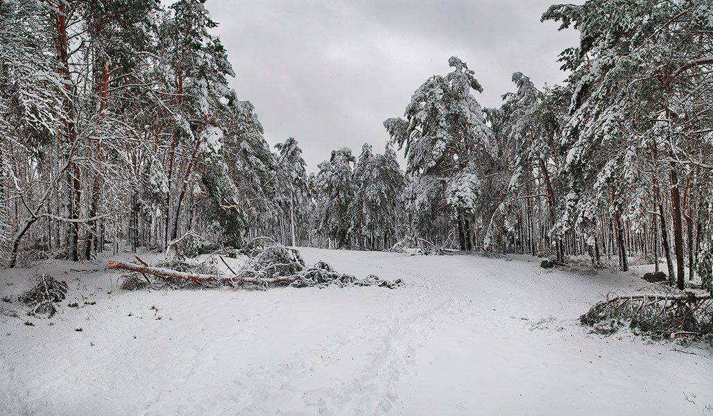 , Михаил Мочалов