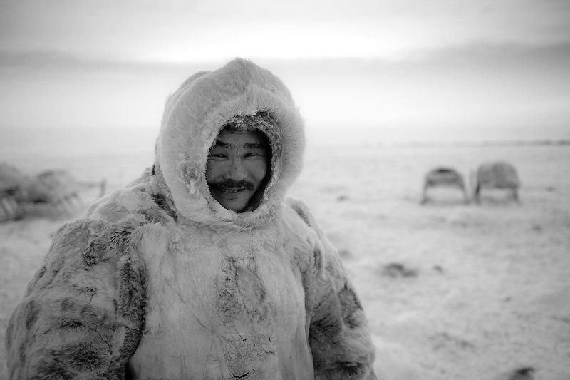 жизнь на краю земли, ненцы, жанровый портрет, север оленевод Ярко фото превью