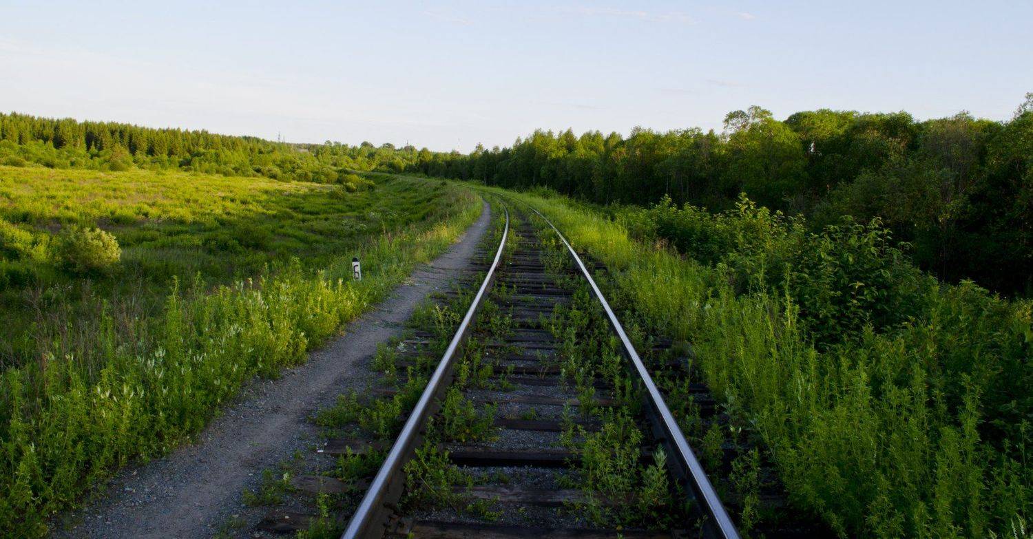 путь,дорога,зелень, Карепанов Евгений