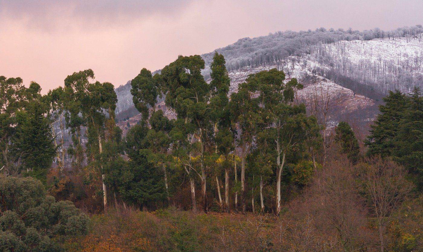 , Руслан Сигушин