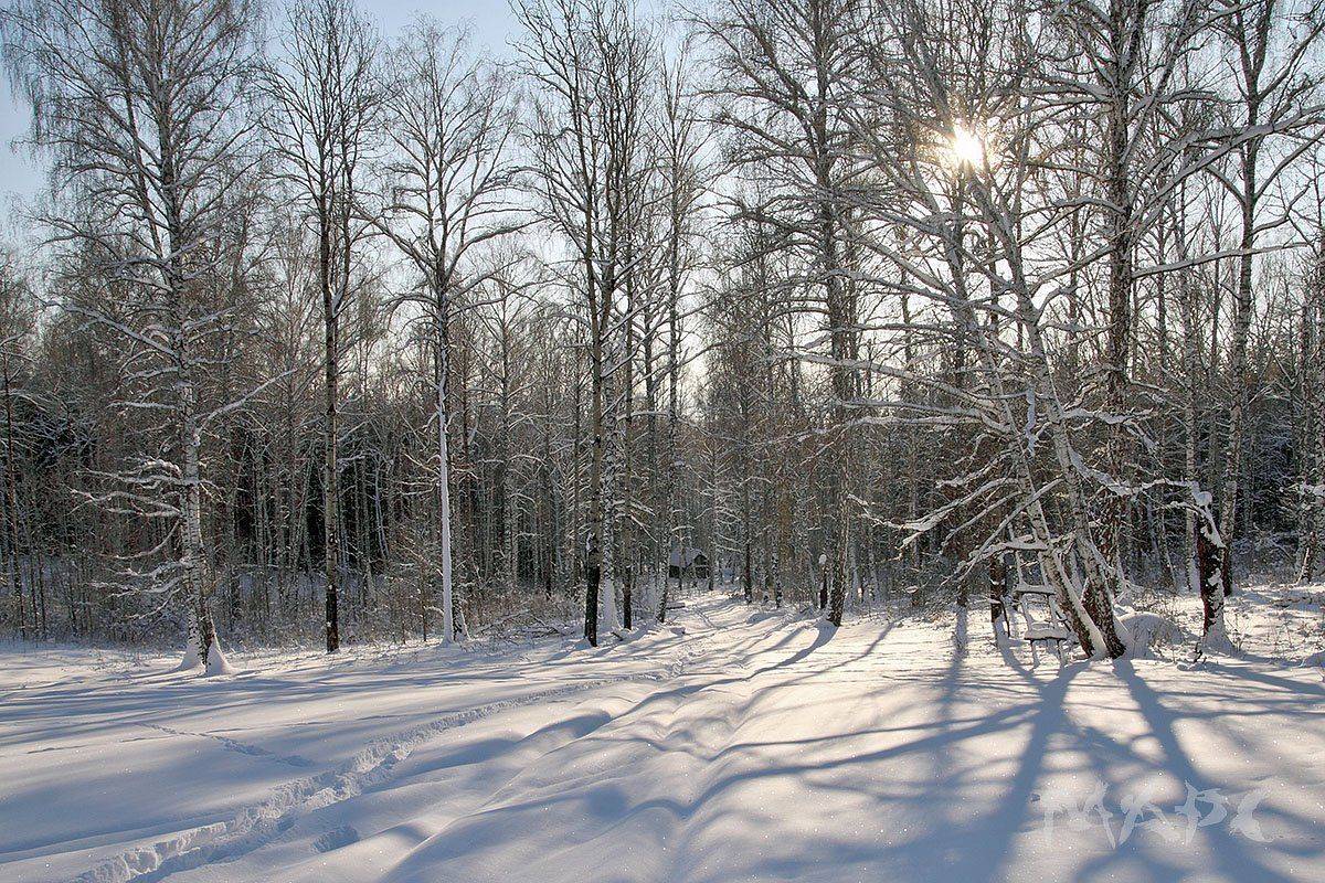 , Шангареев Марс