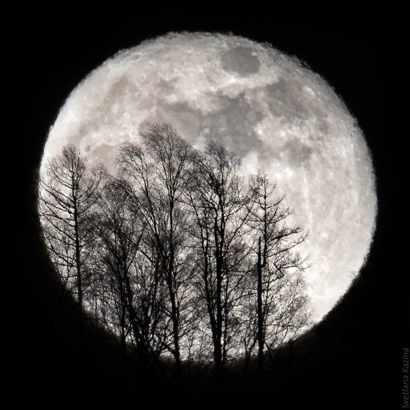 Moon rise фото превью