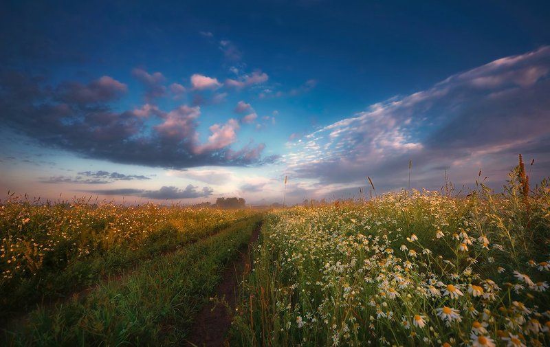 Летнее.. фото превью