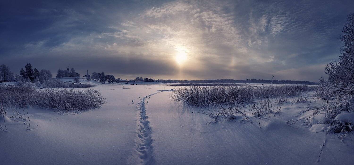 , Марина Никифорова