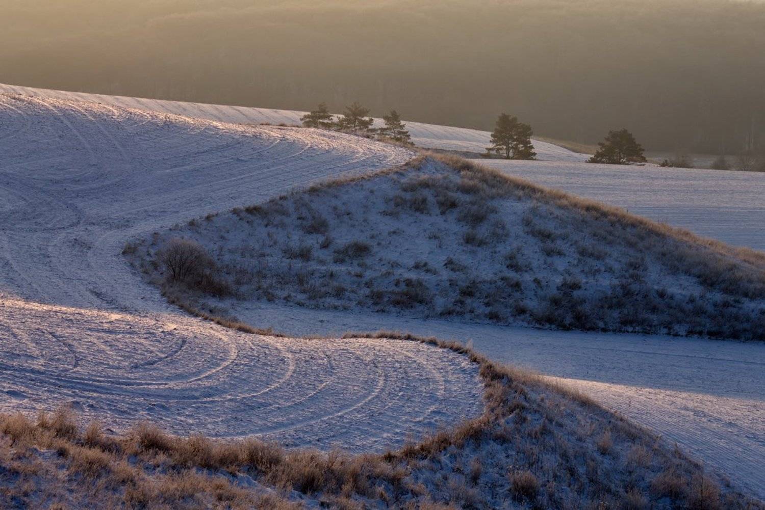 , Алексей Аргентум