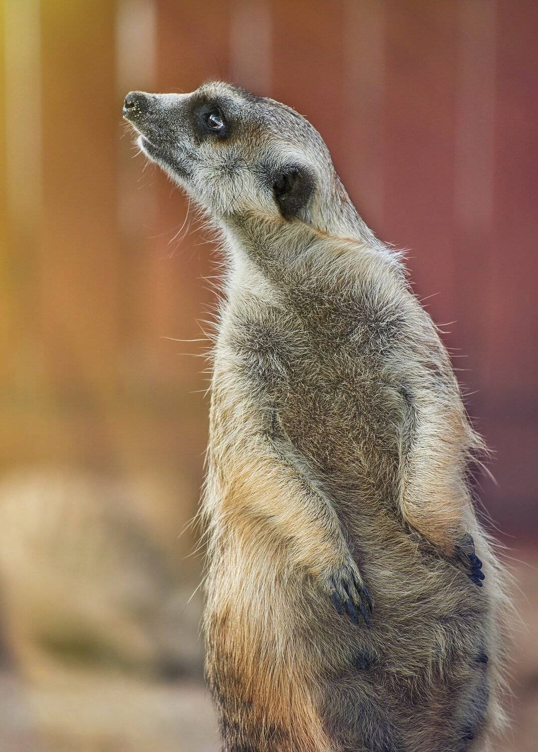 , Олег Богданов