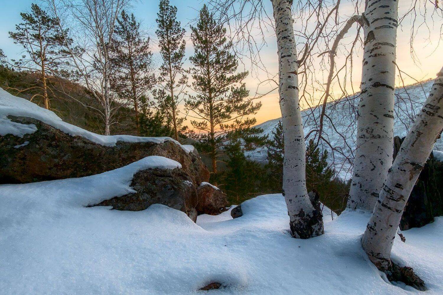 , Сергей Брагин