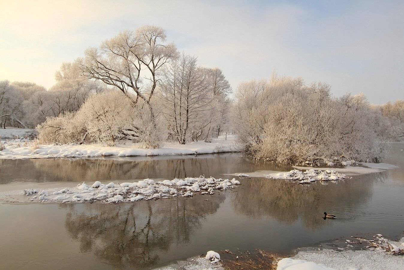 , Володя Демидчик