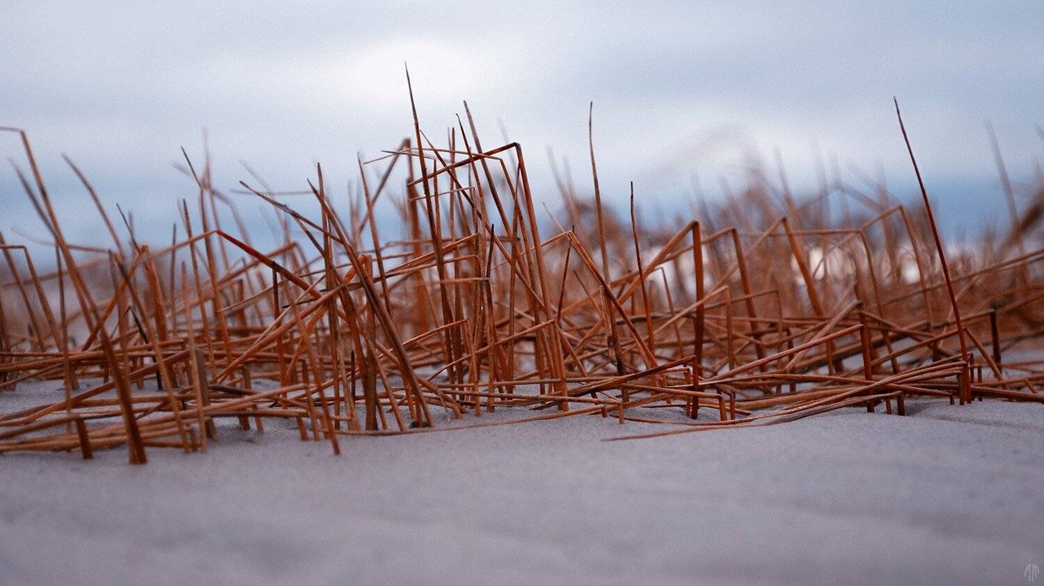 минимализм, Александр Малафеевский