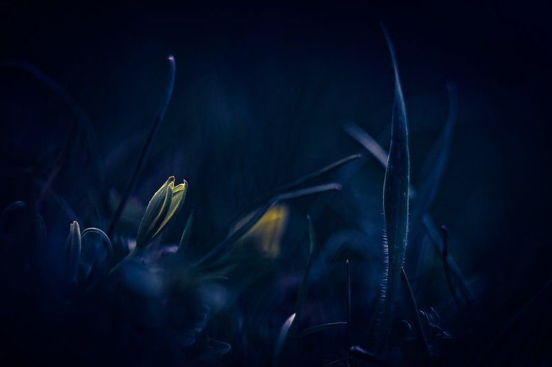 Blue mood фото превью