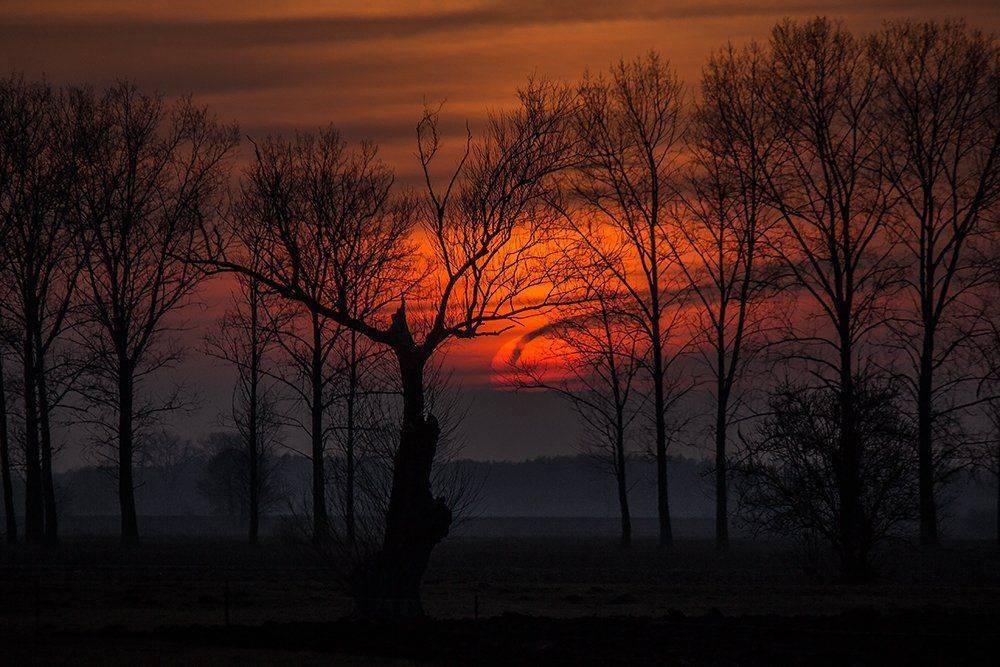 , Pawel Plucinski