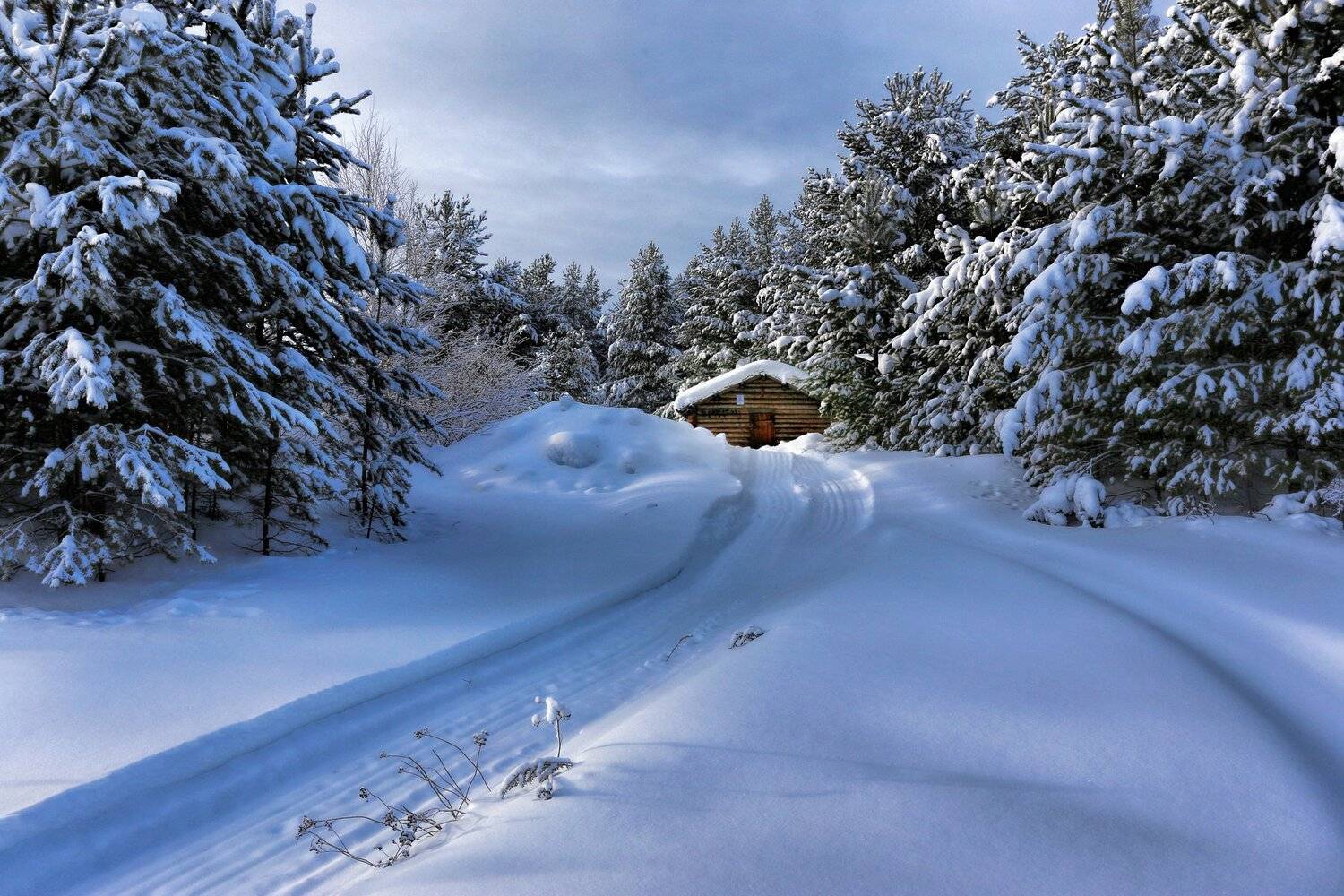 Tatiana Borisova, Домик, Зима, Снег, Тайга, Татьяна Борисова, Татьяна