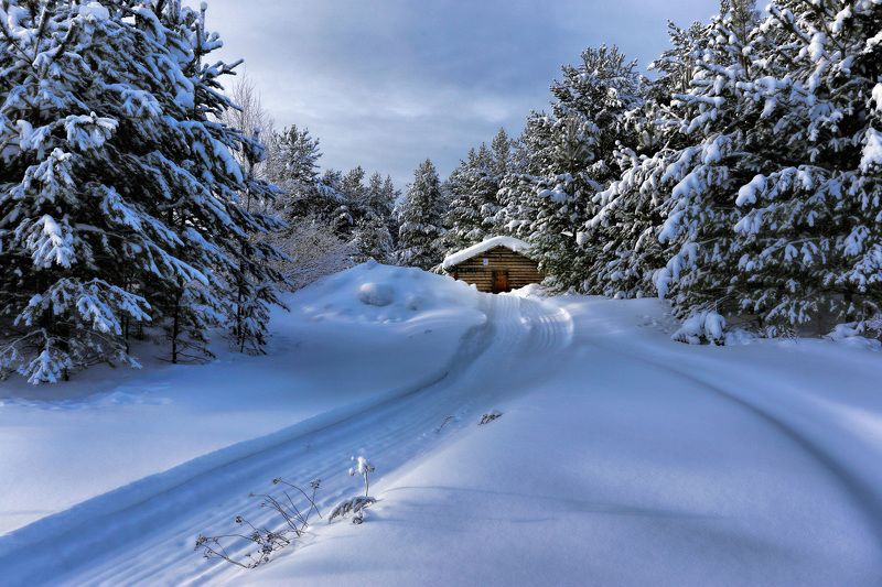 Tatiana Borisova, Домик, Зима, Снег, Тайга, Татьяна Борисова Избушка фото превью