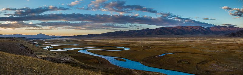 торчащие из мозгов иголки... как доказательство остроты ума ;) фото превью