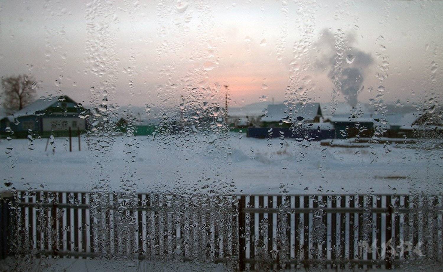 , Шангареев Марс