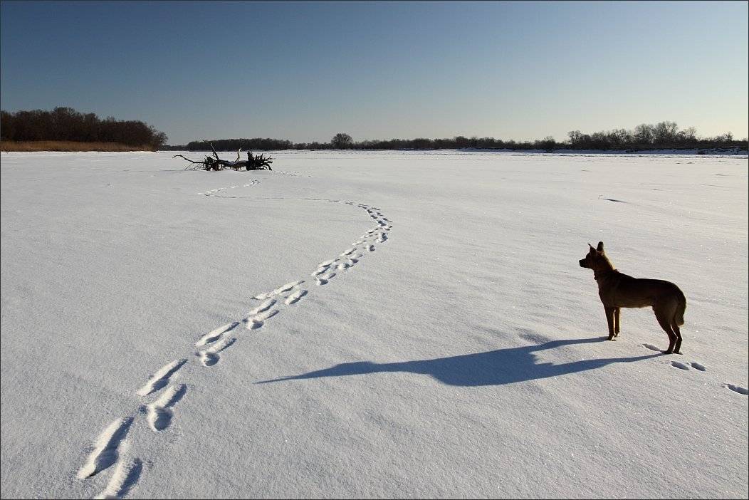 , Сергей Фудиненко