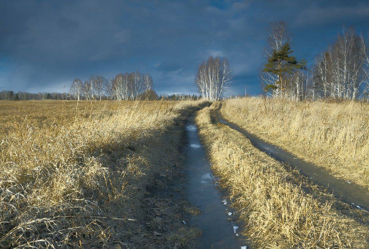 , Николай Морский