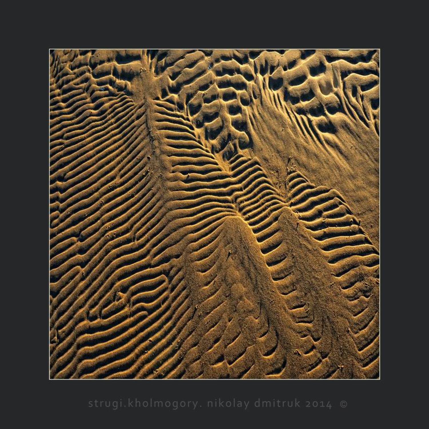 минимализм, музыка, природа, николай дмитрук