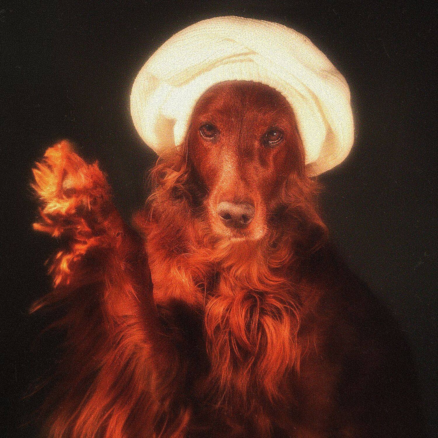 собака, сеттер, арт, портрет, взгляд, картина, , Константин