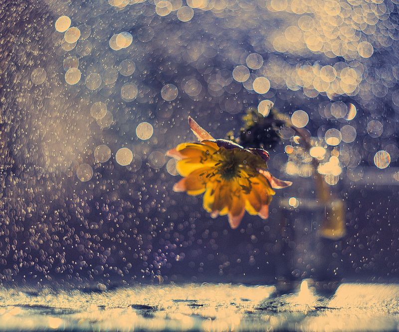 Мне сегодня сон приснился ... фото превью