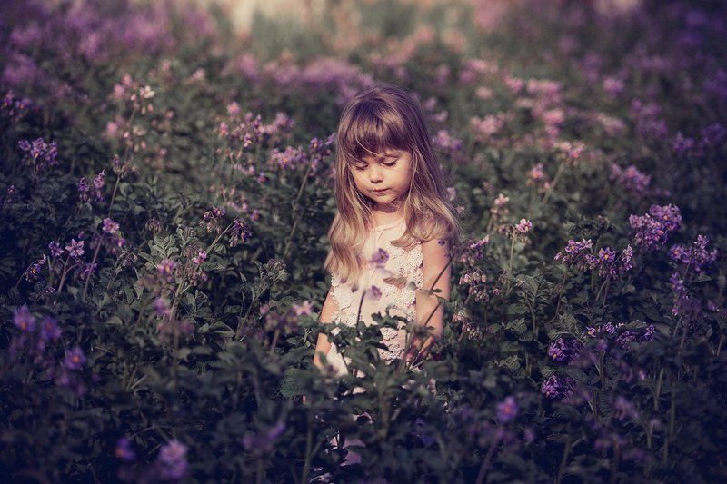 Синеглазка фото превью