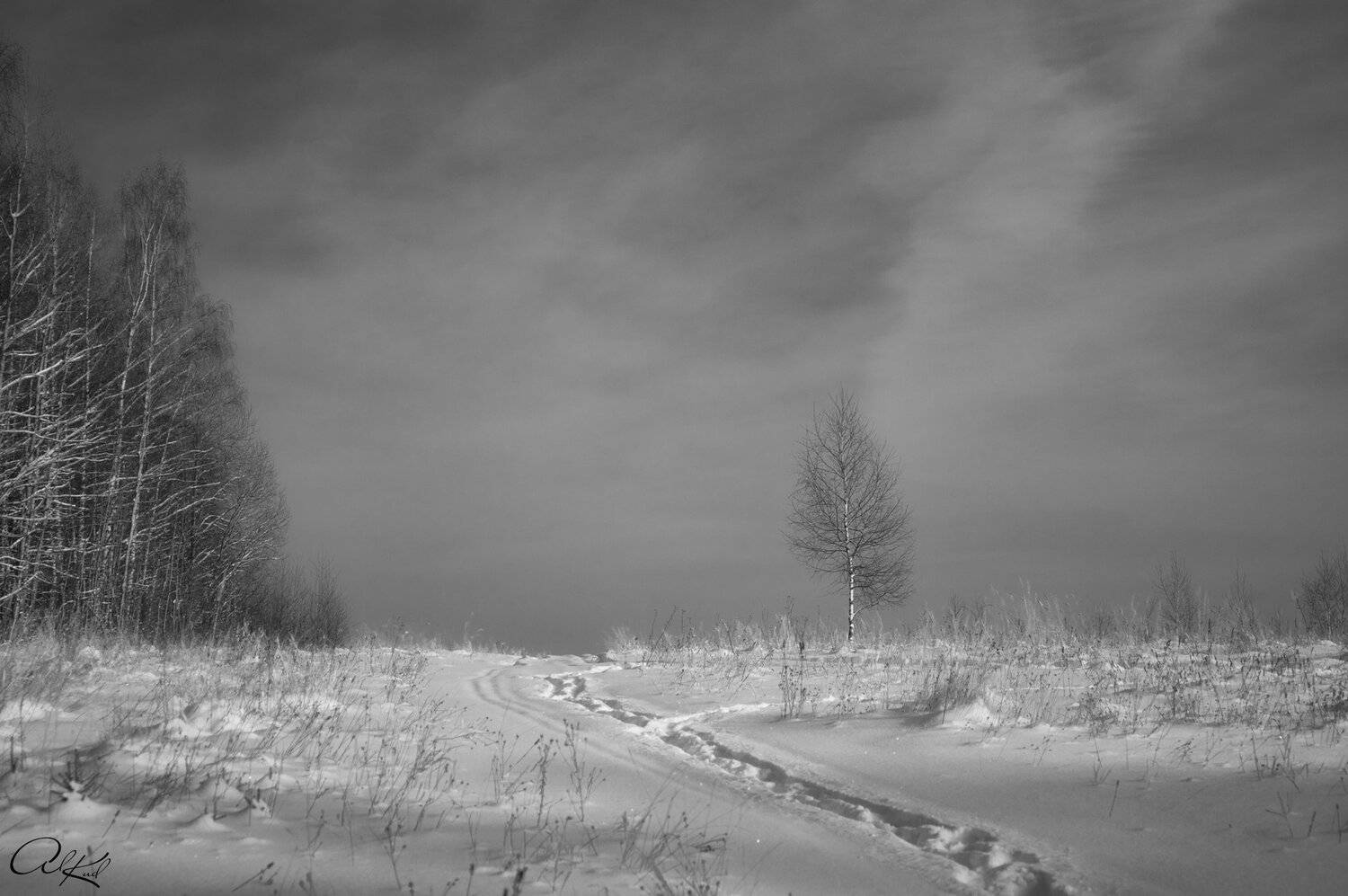 , Александр Кудинов