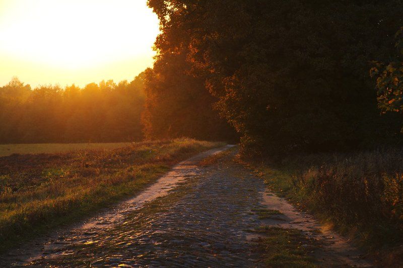 Дороги Балтики фото превью