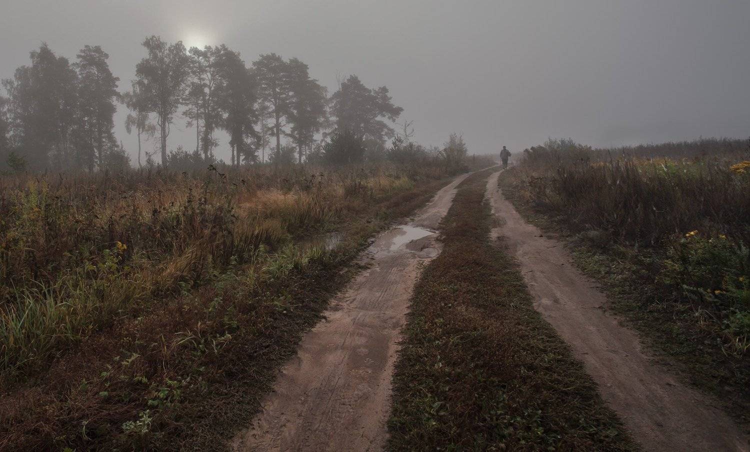 Подмосковь, Купавна, Сентябрь, Андрей Леонидович