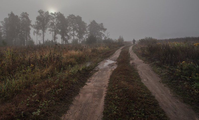 Подмосковь, Купавна, Сентябрь Явление грибника народу фото превью