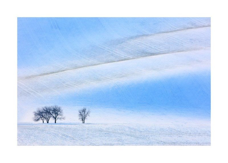 winter south moravy The tree of winter фото превью