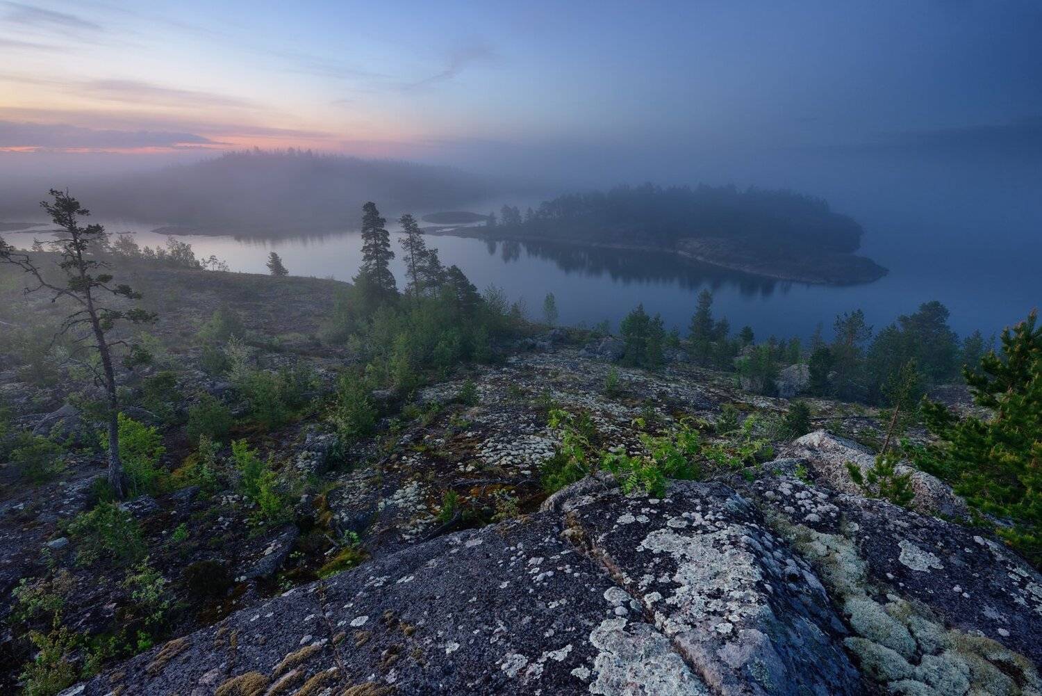 , Максим Евдокимов ( www.wildphotorus.ru )
