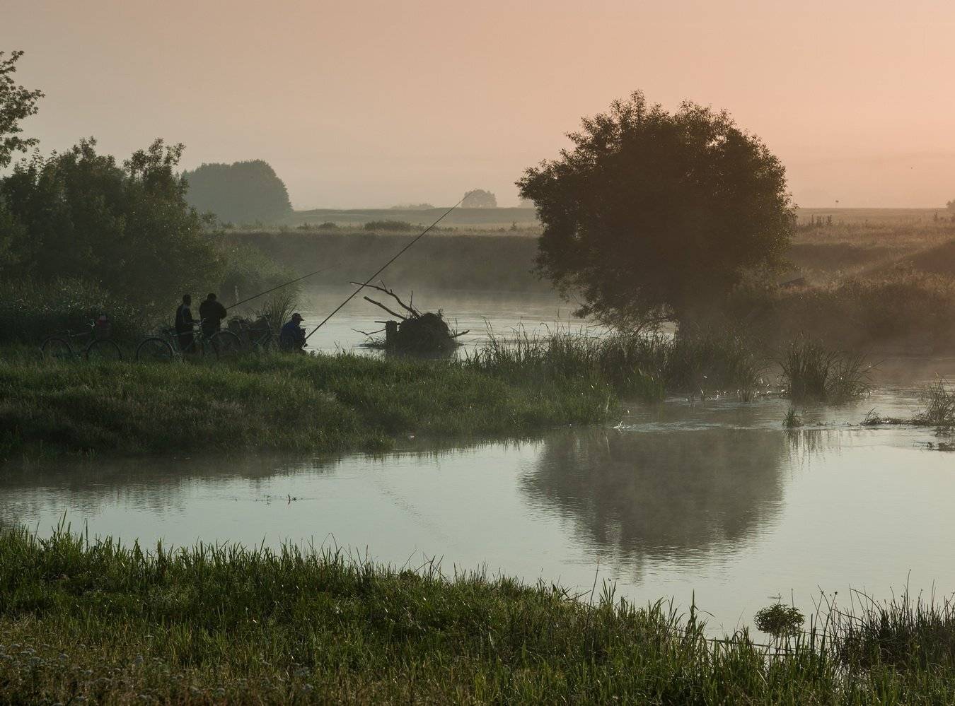 , Александр Бредихин