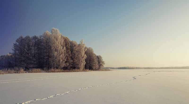 Пейзаж, природа, зима *** фото превью