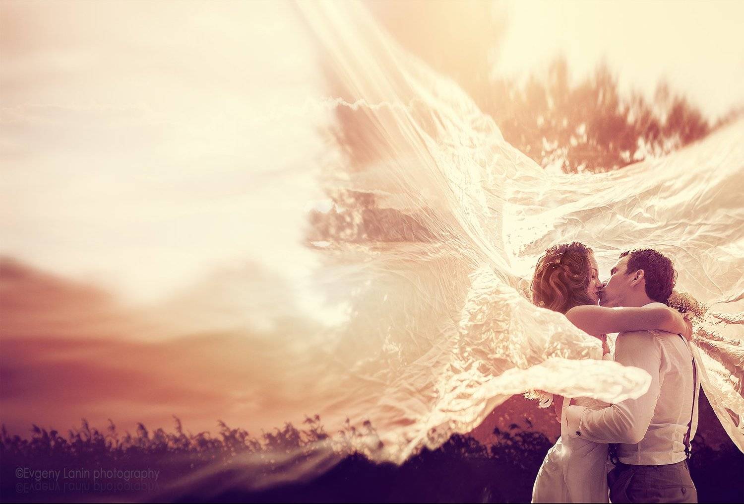 невеста, жених,фата, поцелуй, Евгений Ланин